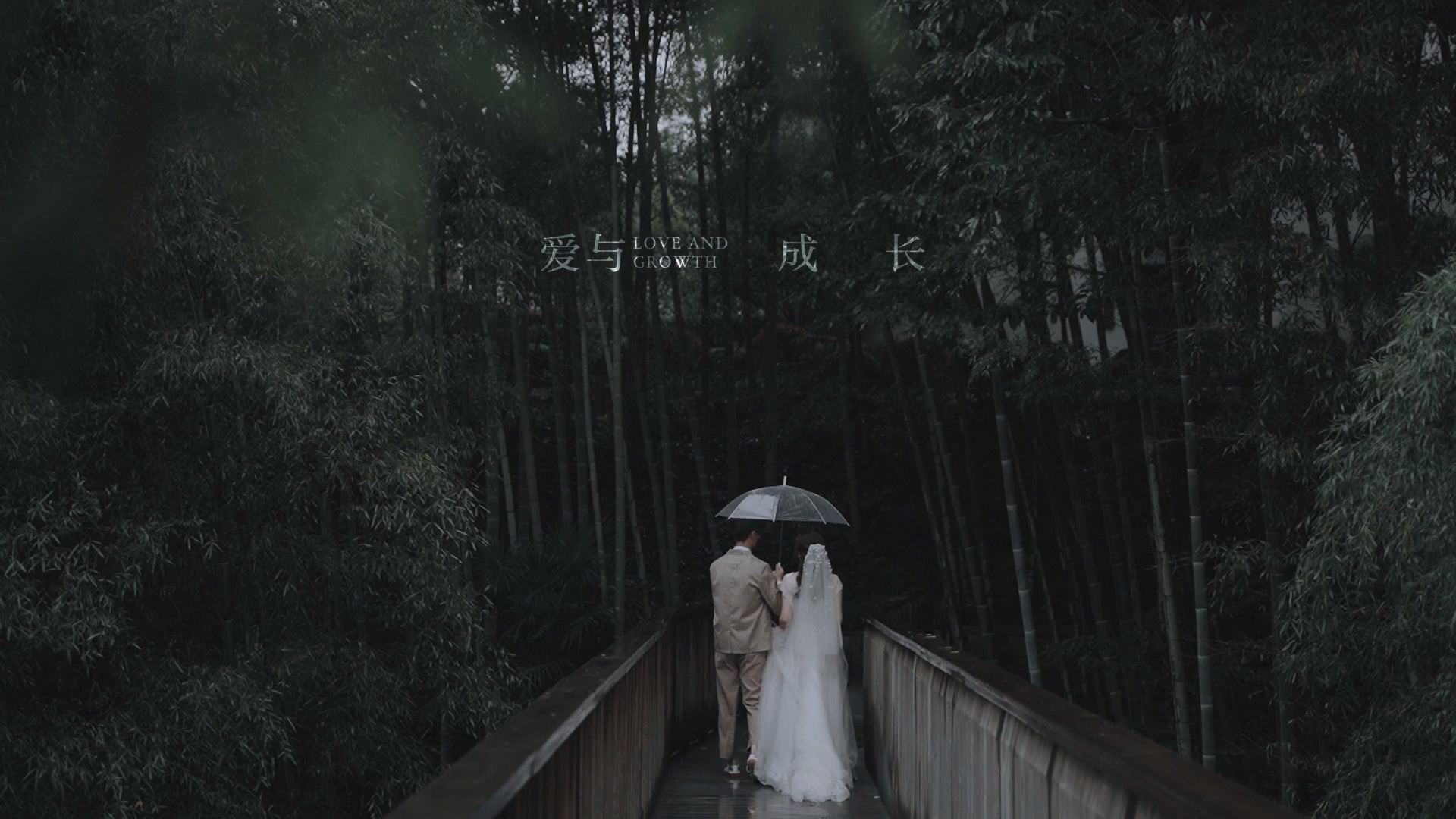 爱与成长 Love And Growth