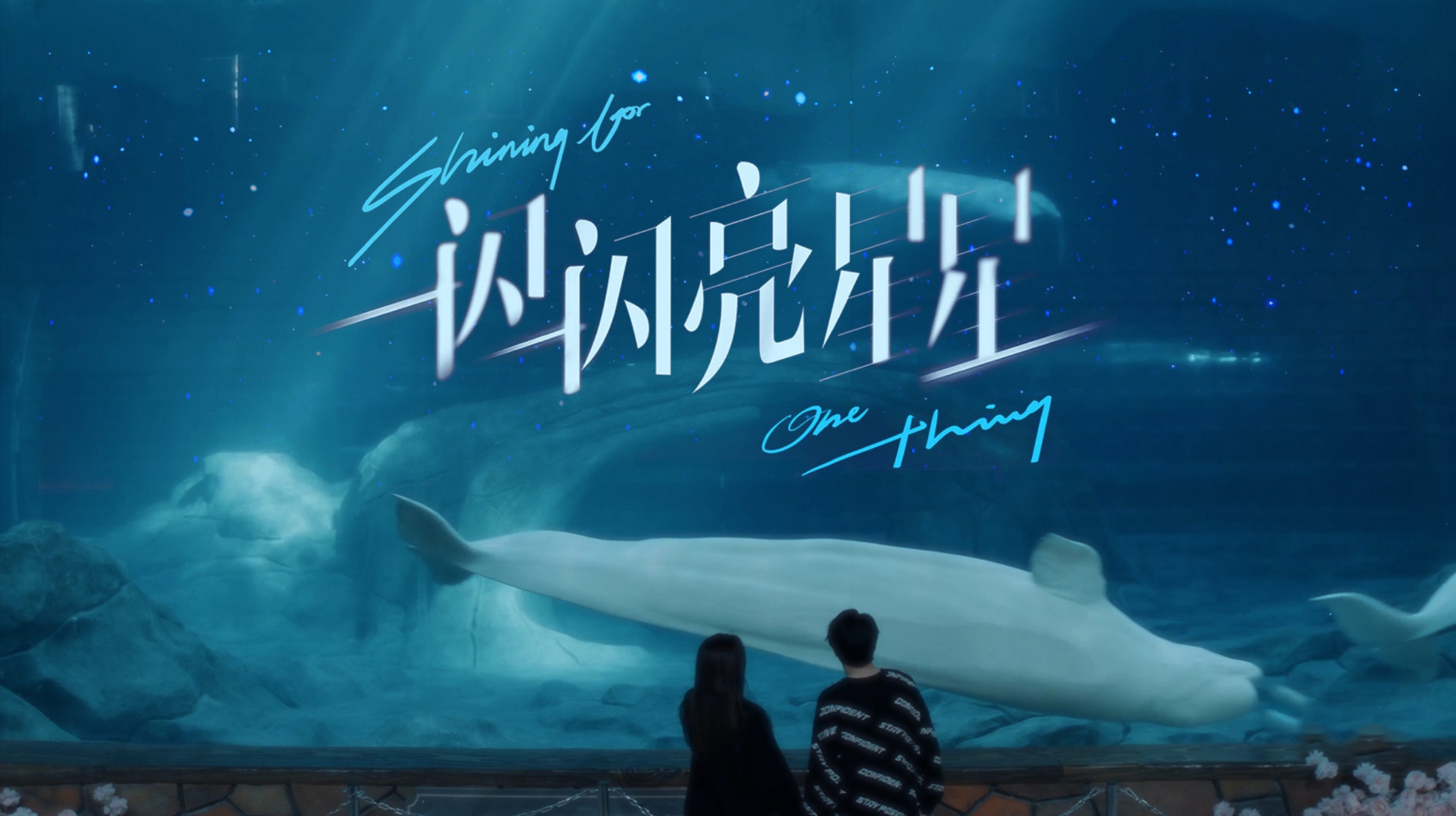 一闪一闪亮星星